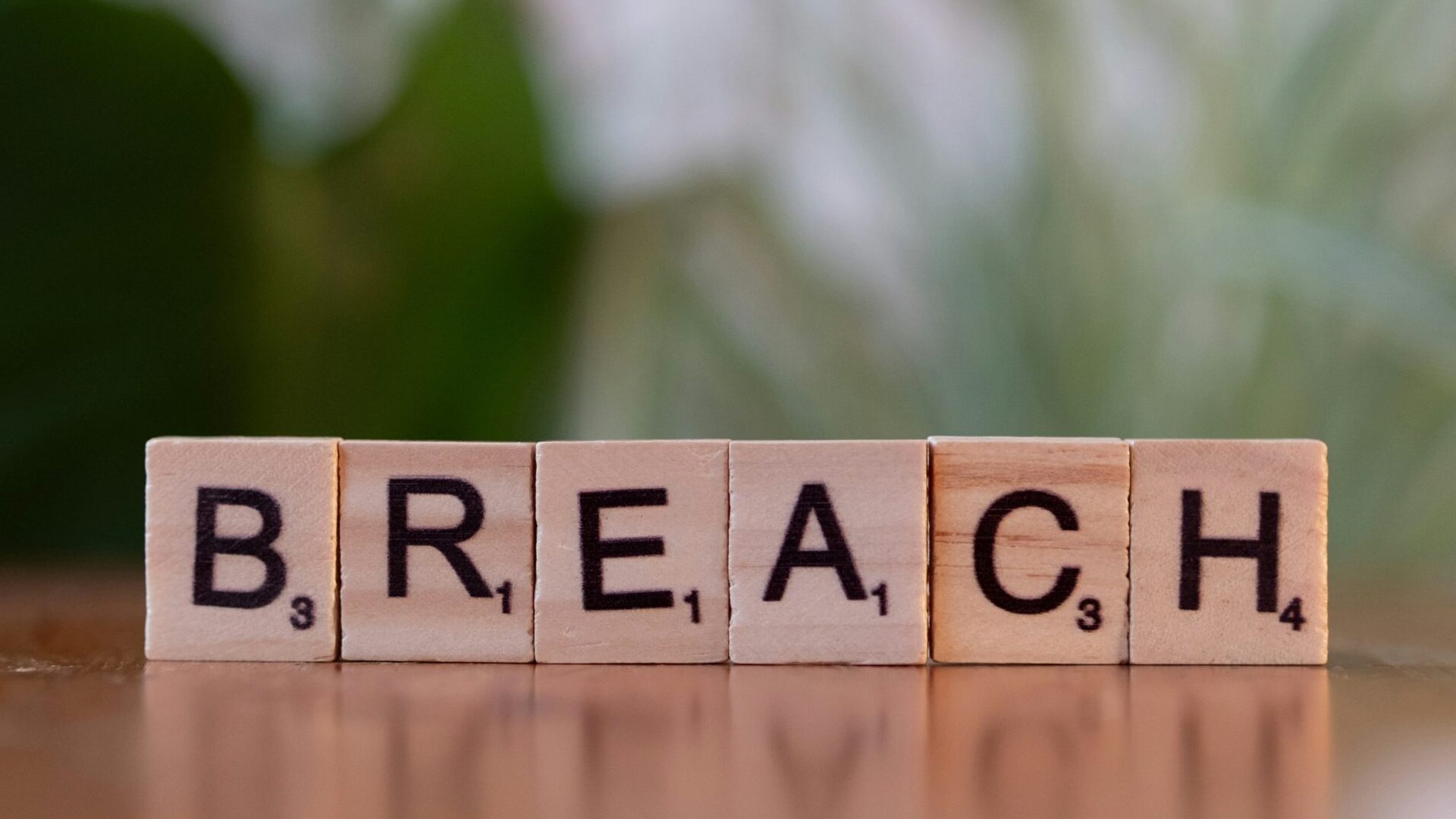 You are currently viewing Understanding Data Breaches: What They Mean for You and How to Stay Safe