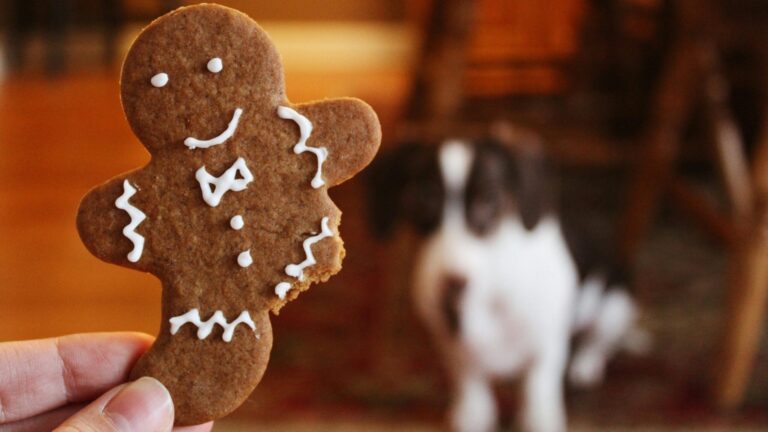 Read more about the article The Hidden Risks of Cookies — And 3 Easy Steps to Protect Your Data